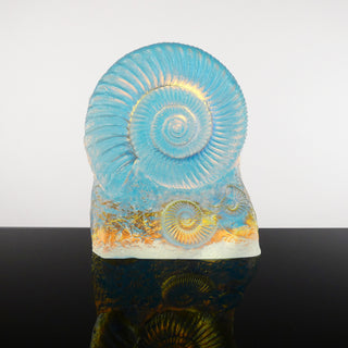 Aural Ammonite Cluster