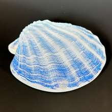 Load image into Gallery viewer, Aural Large Glass Scallop Shell
