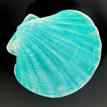 Load image into Gallery viewer, Aural Large Glass Scallop Shell
