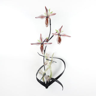 'Triple Lady Slipper & Dragonflies' | Wall Sculpture