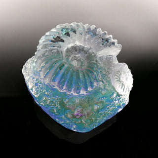 Aural Ammonite Fossil