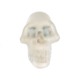 'Anna K' | Glass Skull