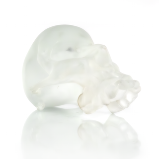 'Giselle' | Glass Skull