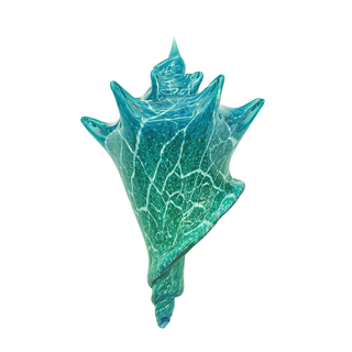 Conch Shell Sculpture | Large