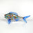 End of Day Fish with Blue Fins