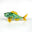 Everglade Fish with Gold Fins