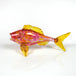Firefly Fish with Gold Fins