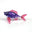 Iris Fish with Cranberry Fins