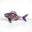 Rainbow Fish with Iris Fins