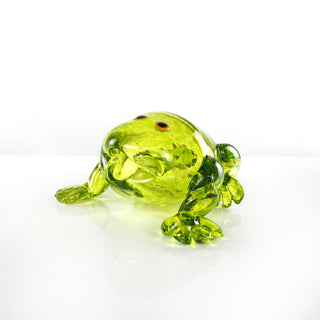 The Glass Frog