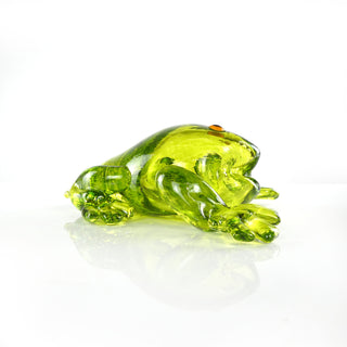 The Glass Frog