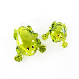 The Glass Frog