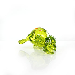 The Glass Frog