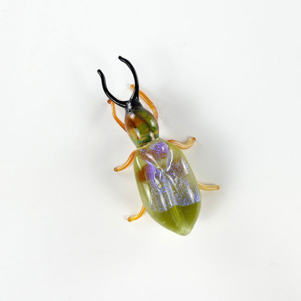 Greenbeetle3lopyallen_grande.