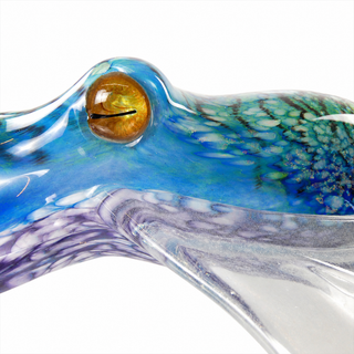 'Hypnotic Blue' Cuttlefish