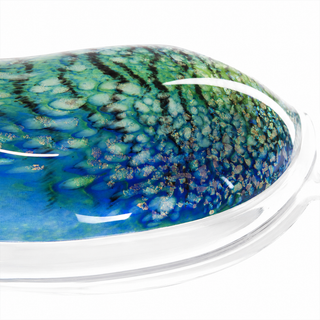 'Hypnotic Blue' Cuttlefish