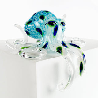 'Blue Tako' Hungover Octopus