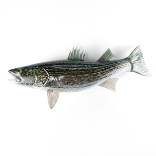 Striped Bass Wall Sculpture