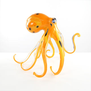 'Orange Lemon' Walking Octopus | Medium