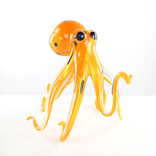'Orange Lemon' Walking Octopus | Medium