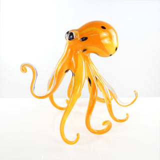'Orange Lemon' Walking Octopus | Medium