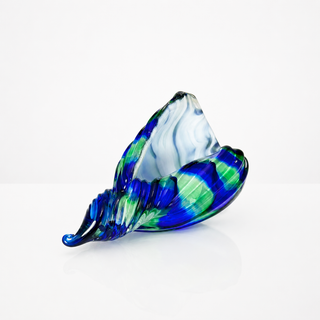 Seashell Paperweight