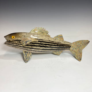 Dark Striped Bass by Eben