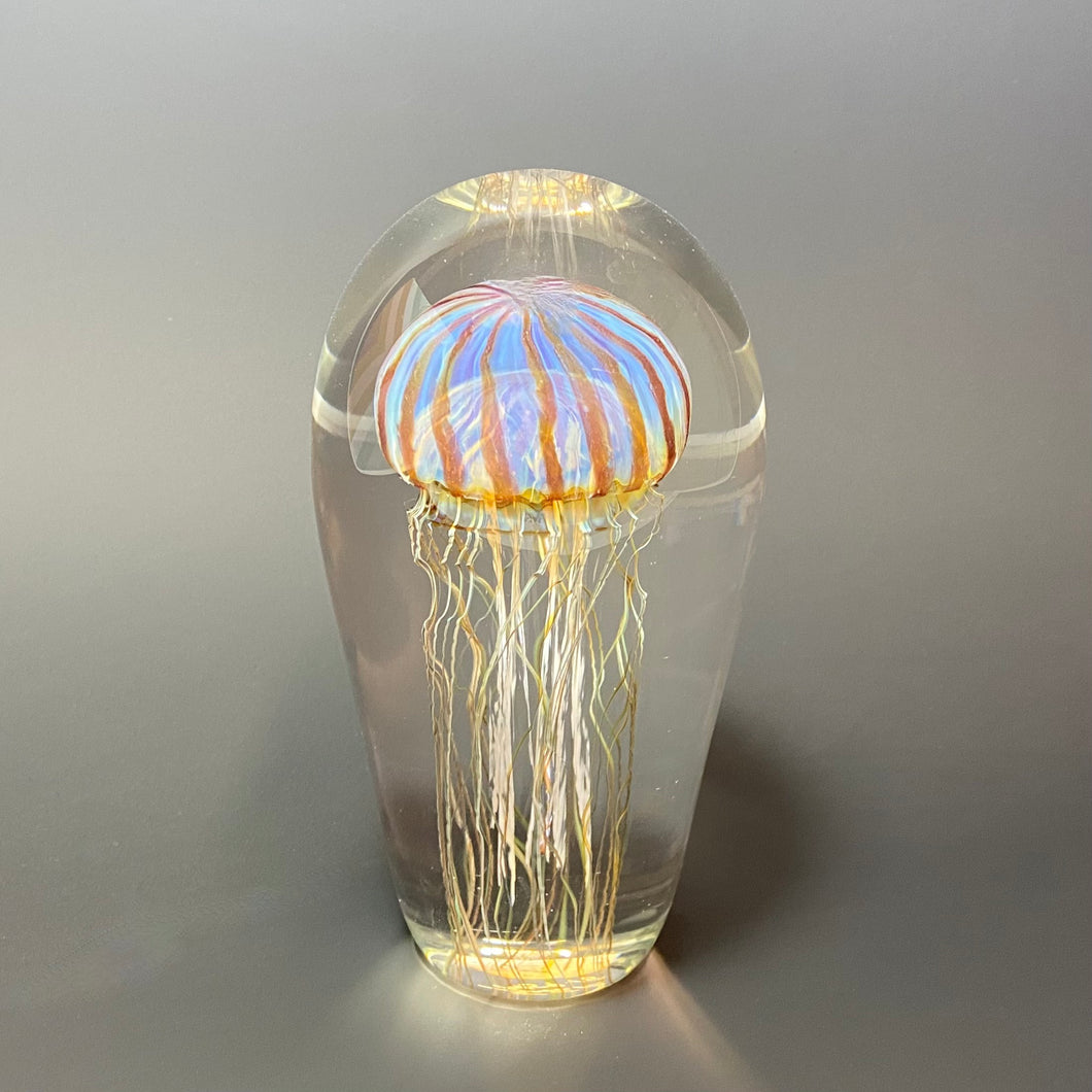 Passion Moon Jellyfish
