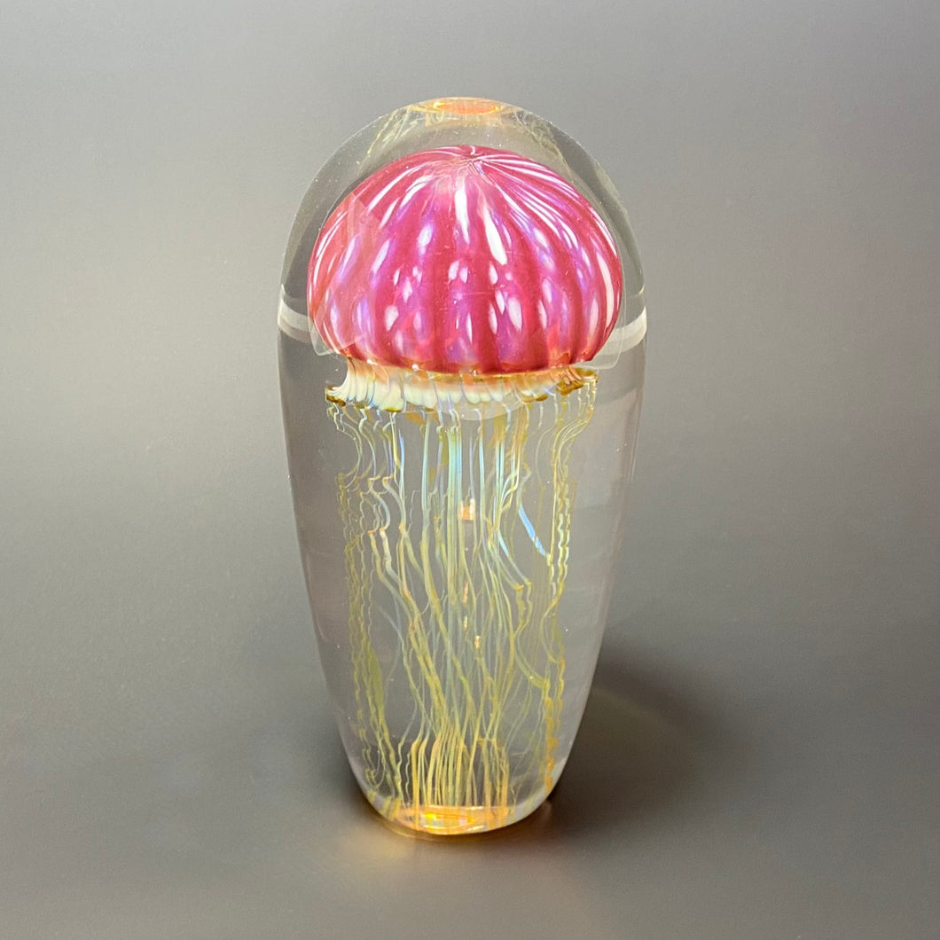 Gold Ruby Jellyfish