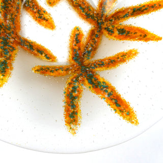 Starfish Bowl