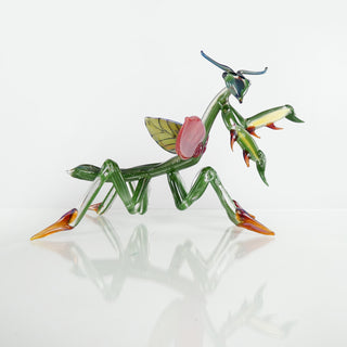 Large Praying Mantis