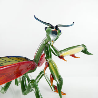 Large Praying Mantis