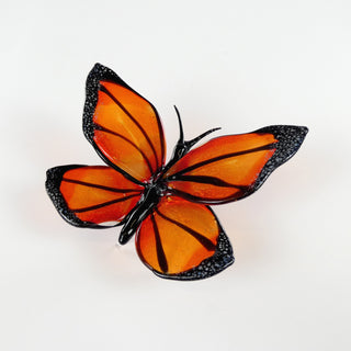 Monarch Butterfly
