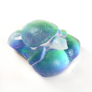 Aural Turtle
