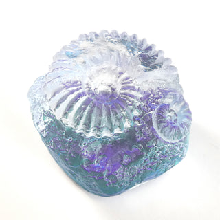 Aural Amethyst Ammonite