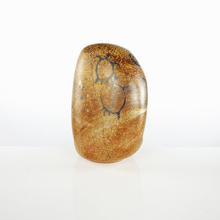 Turtle | Petroglyph Rock