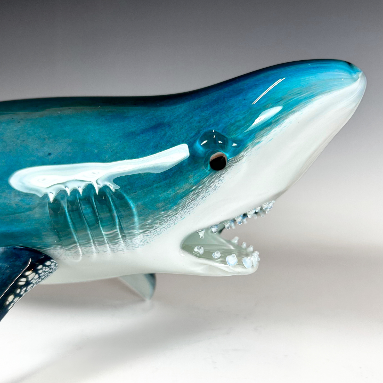 Large Glass Great White Shark – The Glass Station Studio and Large Glass Great White Shark – The Glass Station Studio and