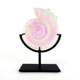 Aural Crystal Ammonite