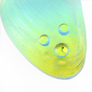 Dichroic Window Clam