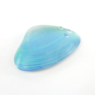 Dichroic Window Clam