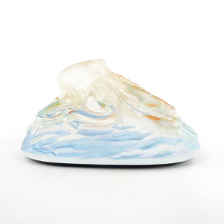 Aural Sunset Octopus