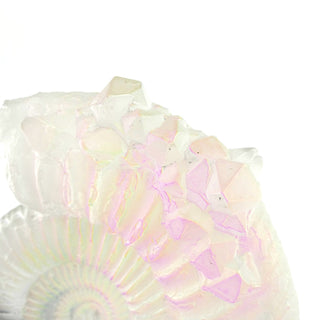 Aural Crystal Ammonite