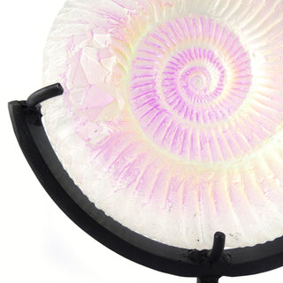 Aural Crystal Ammonite