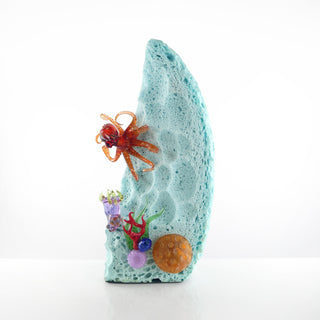 'Seafoam Reef'