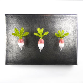 'Three French Breakfast Radishes'