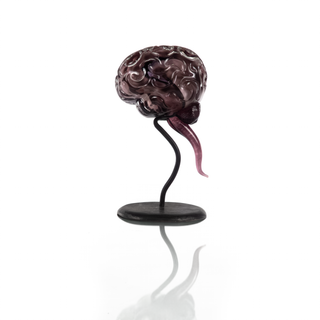 'Ego' | Glass Brain Sculpture
