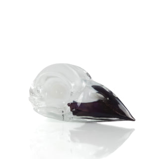'Annabel' | Glass Finch Skull
