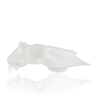 'Prion' | Glass Deer Skull