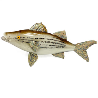 'Turbid Water' Striped Bass