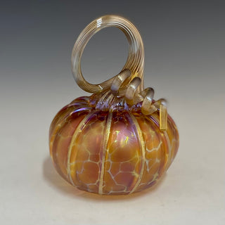 Pumpkins with a Purpose- Petit